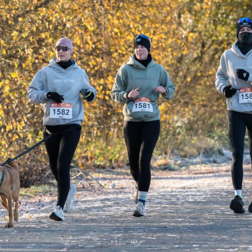 585044212_18414083476138207_4117519362319503030_n 585044212_18414083476138207_4117519362319503030_n